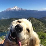 Entry image for Jack