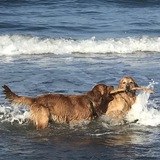 Entry image for Rooney and Jagger