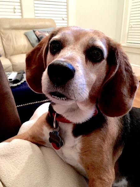 Entry image for Tchoupitoulas. Clicking this image will show a larger photo