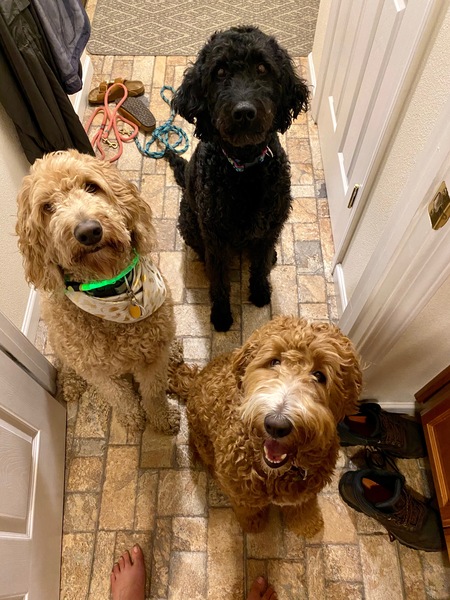 Entry image for Mazie, Mildred, Midge. Clicking this image will show a larger photo