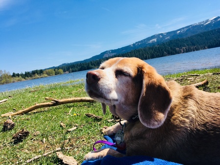 Entry image for Maggie. Clicking this image will show a larger photo