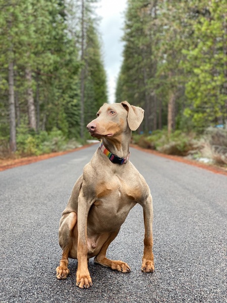 Entry image for Bruce. Clicking this image will show a larger photo