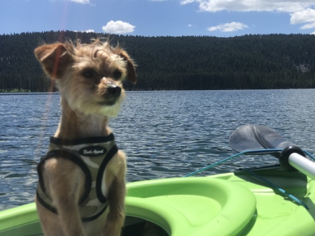 Entry image for Alvin Parker. Clicking this image will show a larger photo