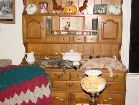 Entry image for Polly & Milo. Clicking this image will show a larger photo