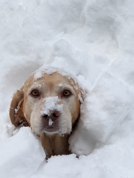 Entry image for Kate. Clicking this image will show a larger photo