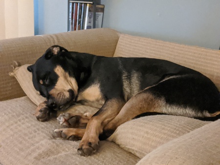 Entry image for Worf. Clicking this image will show a larger photo