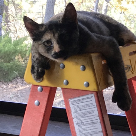 Entry image for Rita . Clicking this image will show a larger photo