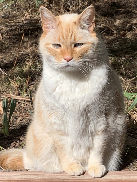 Entry image for Diego. Clicking this image will show a larger photo