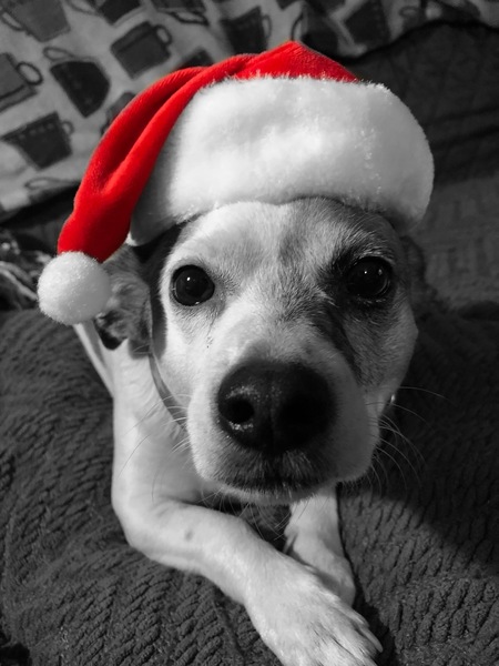 Entry image for Nakona DeMarini . Clicking this image will show a larger photo