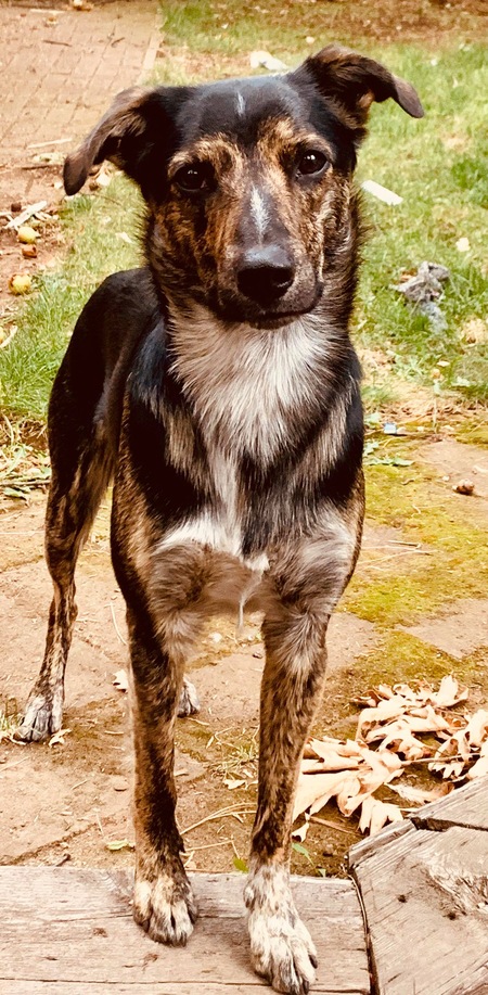 Entry image for Mackay. Clicking this image will show a larger photo