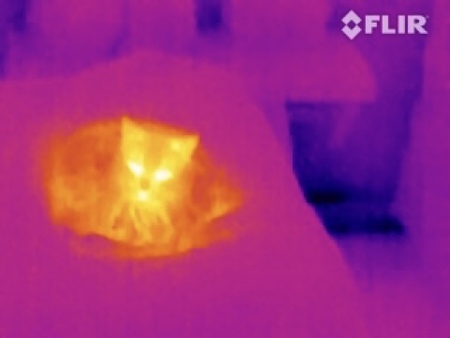 Entry image for Ira. Clicking this image will show a larger photo