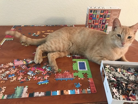 Entry image for Maui. Clicking this image will show a larger photo