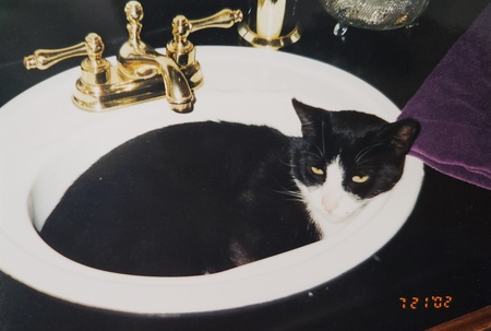 Entry image for The boy. Clicking this image will show a larger photo