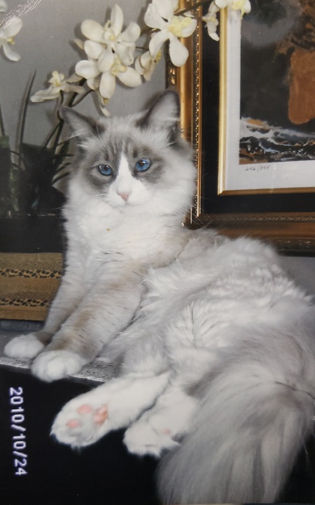 Entry image for Maggie Mae . Clicking this image will show a larger photo