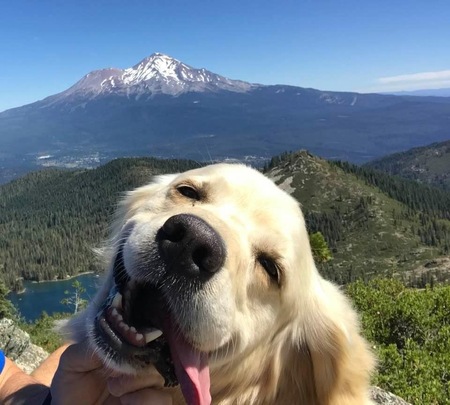 Entry image for Jack. Clicking this image will show a larger photo