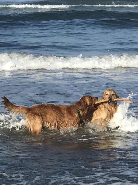 Entry image for Rooney and Jagger. Clicking this image will show a larger photo