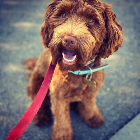 Entry image for North . Clicking this image will show a larger photo