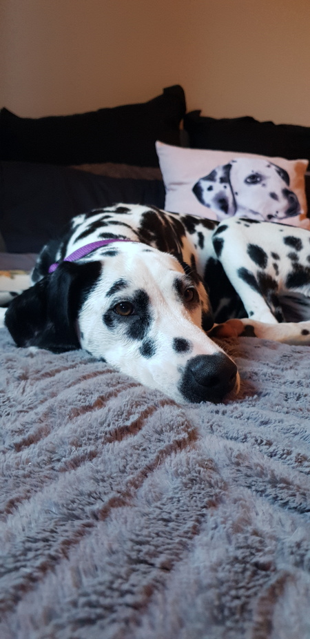 Audrey