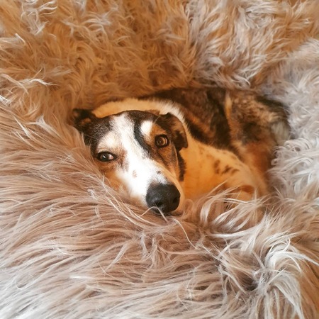 Billy
