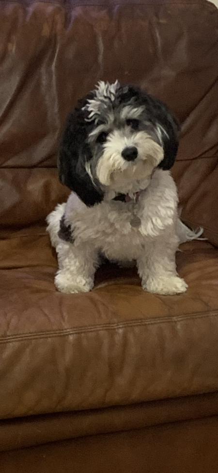 Bonnie