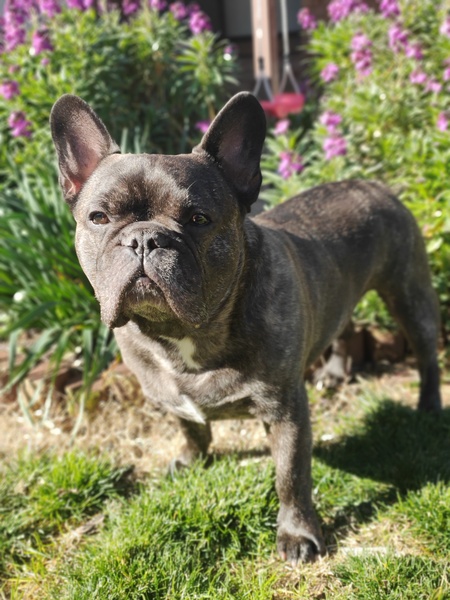Baxter