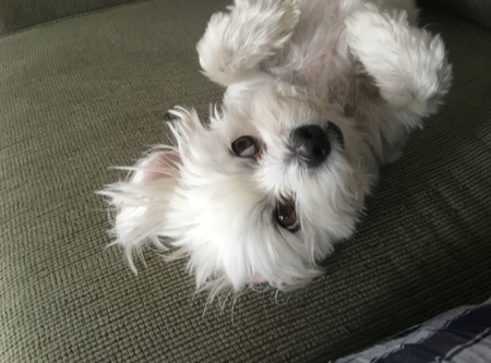 Cisco