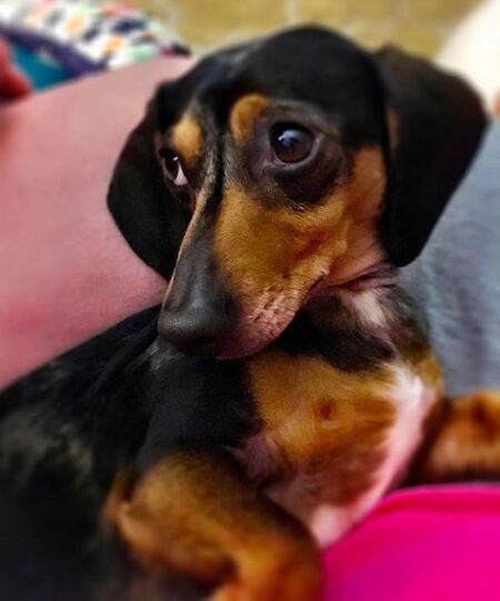 Milly