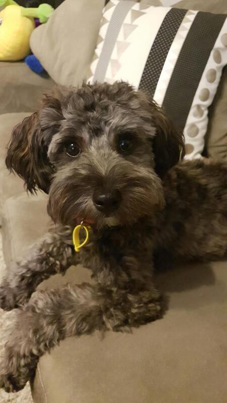 NACHO