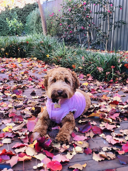 Bonnie