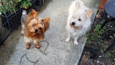 Stevie and Leia