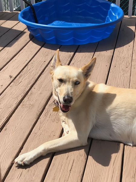 Lucy