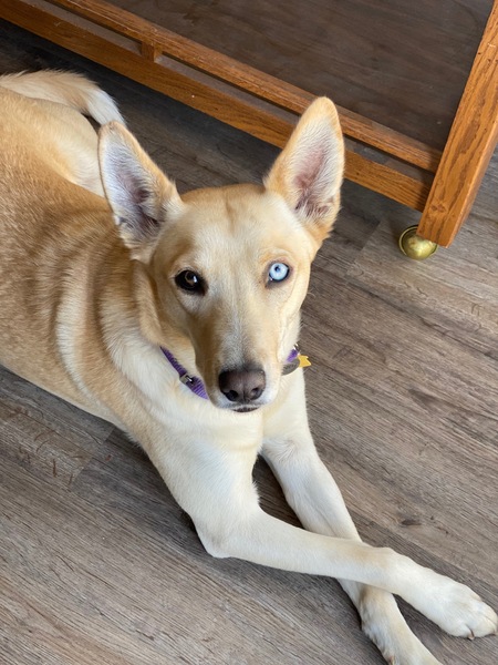 Lucy