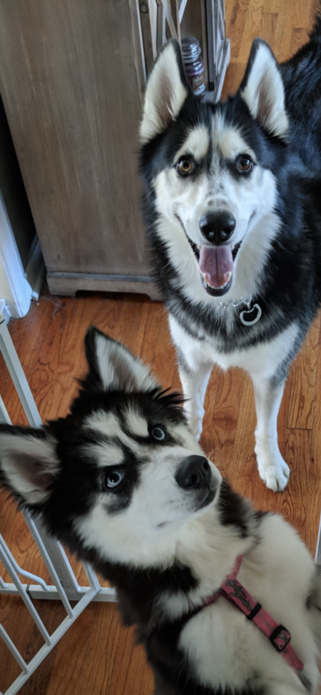 Axel & Luna 