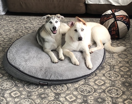 Zin and Molly