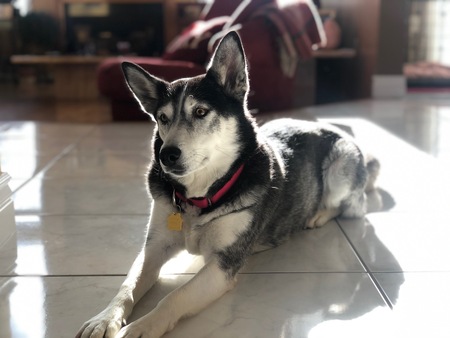 Luna