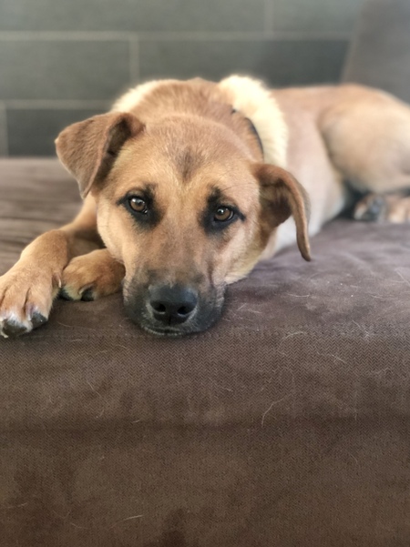 Sadie 