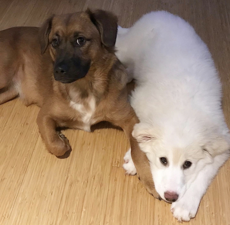 Penny Lane and Dolly Pawton