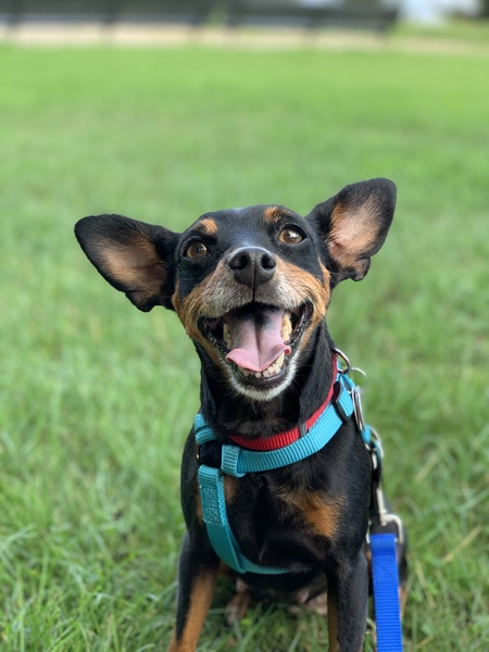 Margo