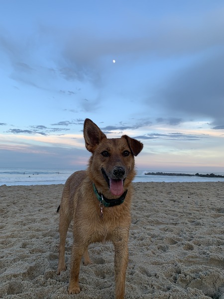 Maddie 