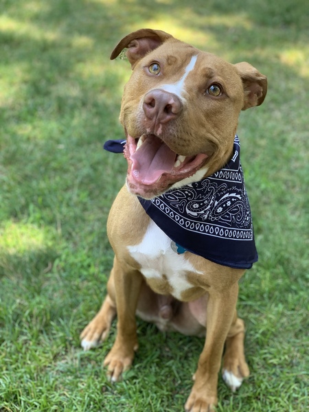 Gus 