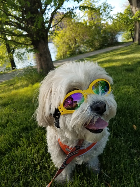 Hudson 