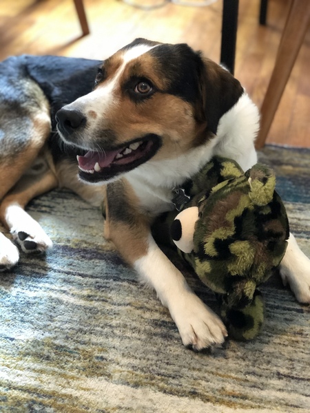 Archie