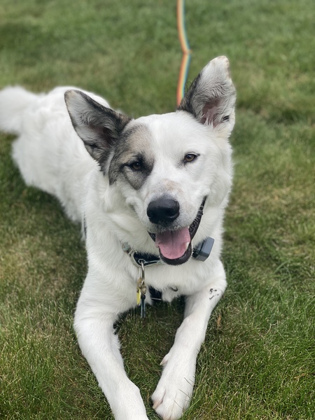 Odin