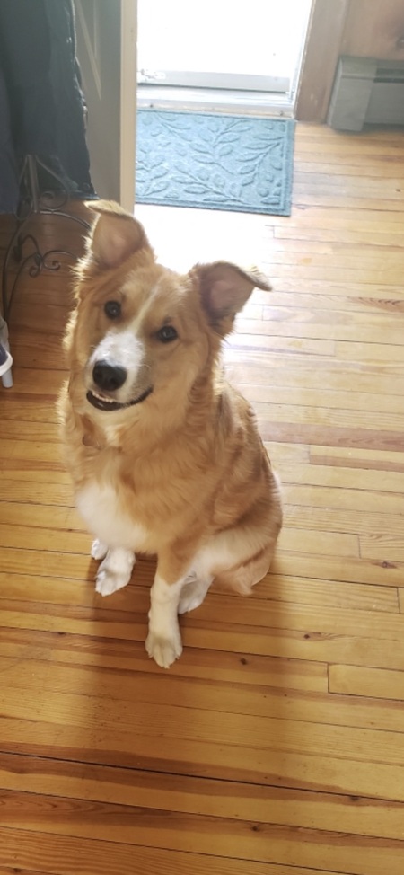 Finn