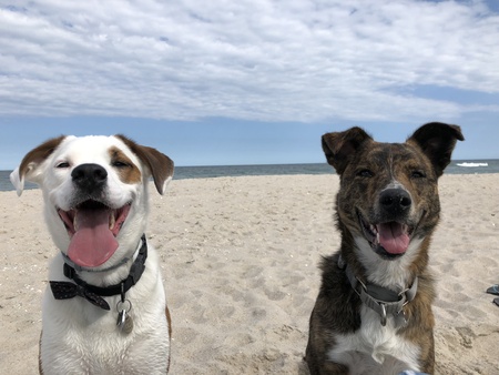 Oliver and Laika