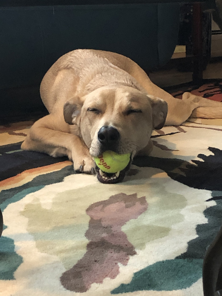Gus