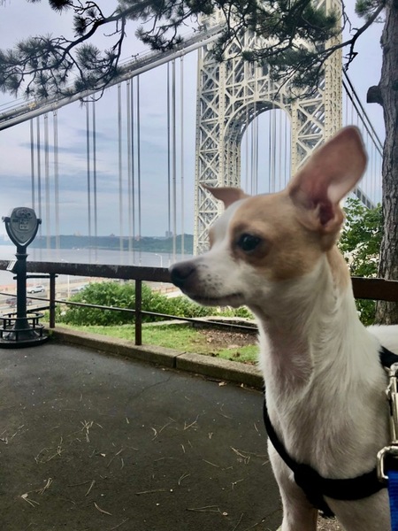 Brooklyn 