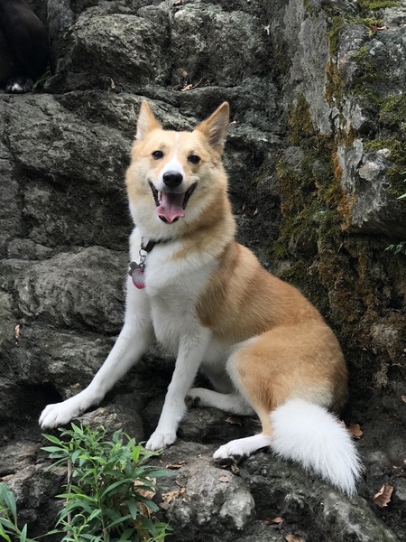 Sophie