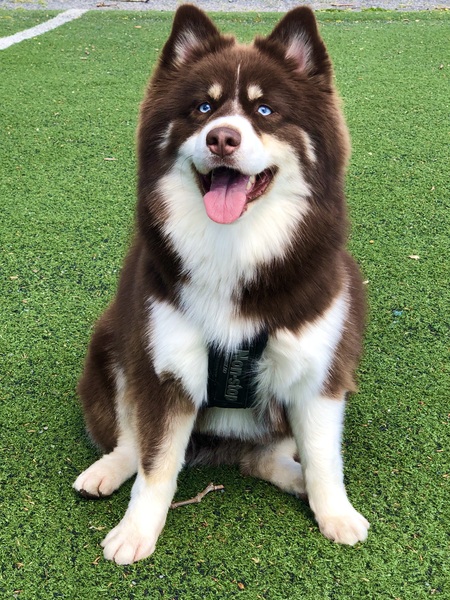 Sam