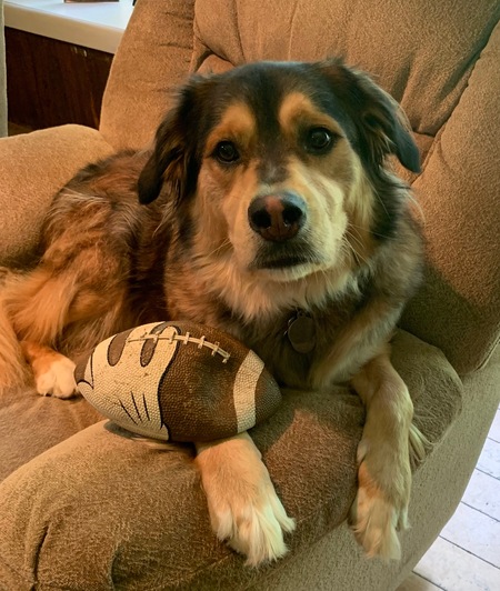 Dozer